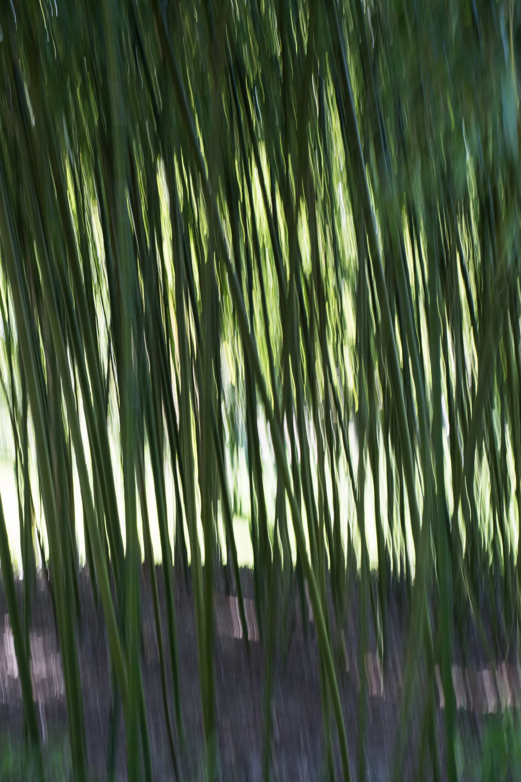 TheWheel, TheWheel.fr, photo