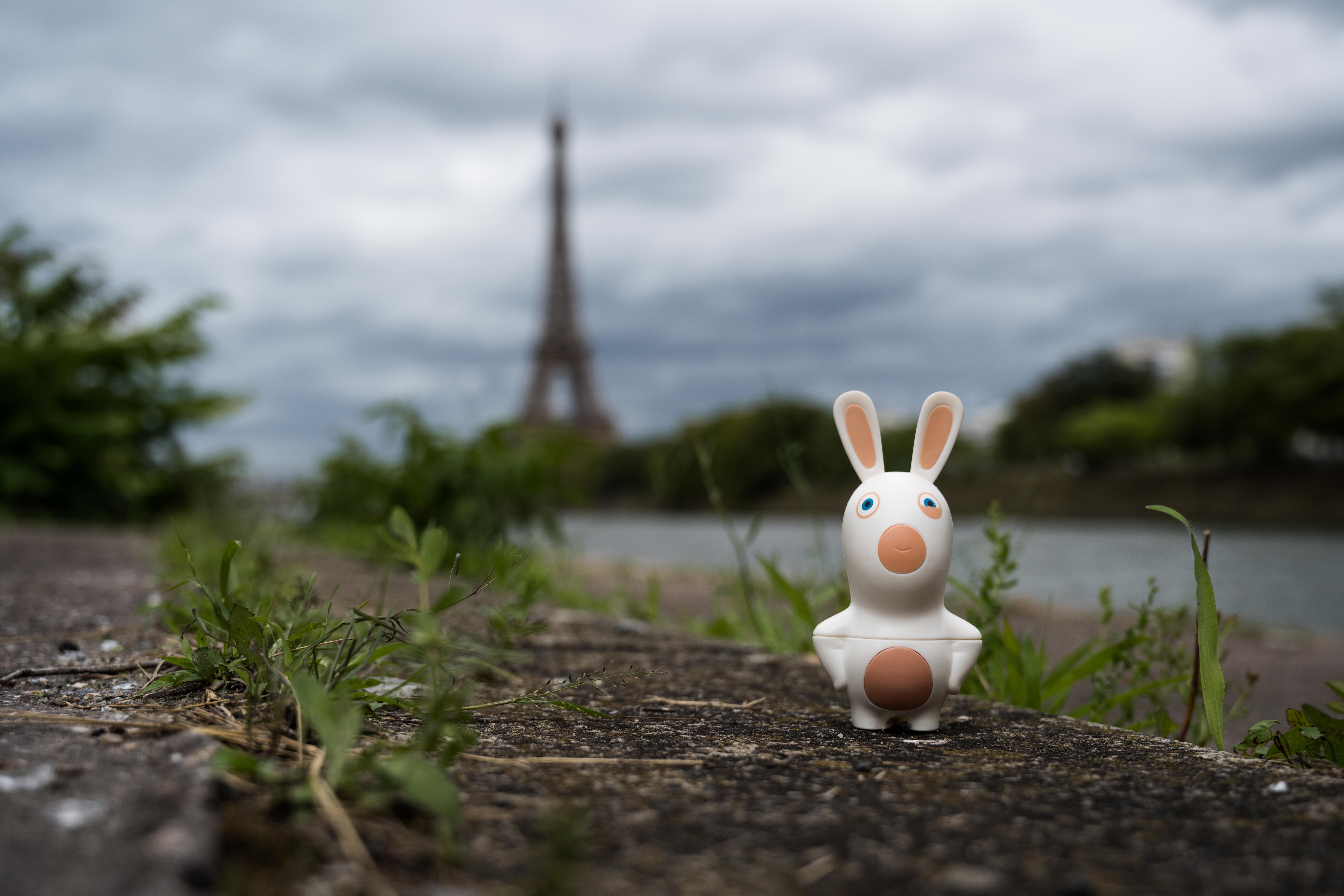 Lire la suite à propos de l’article Tourisme