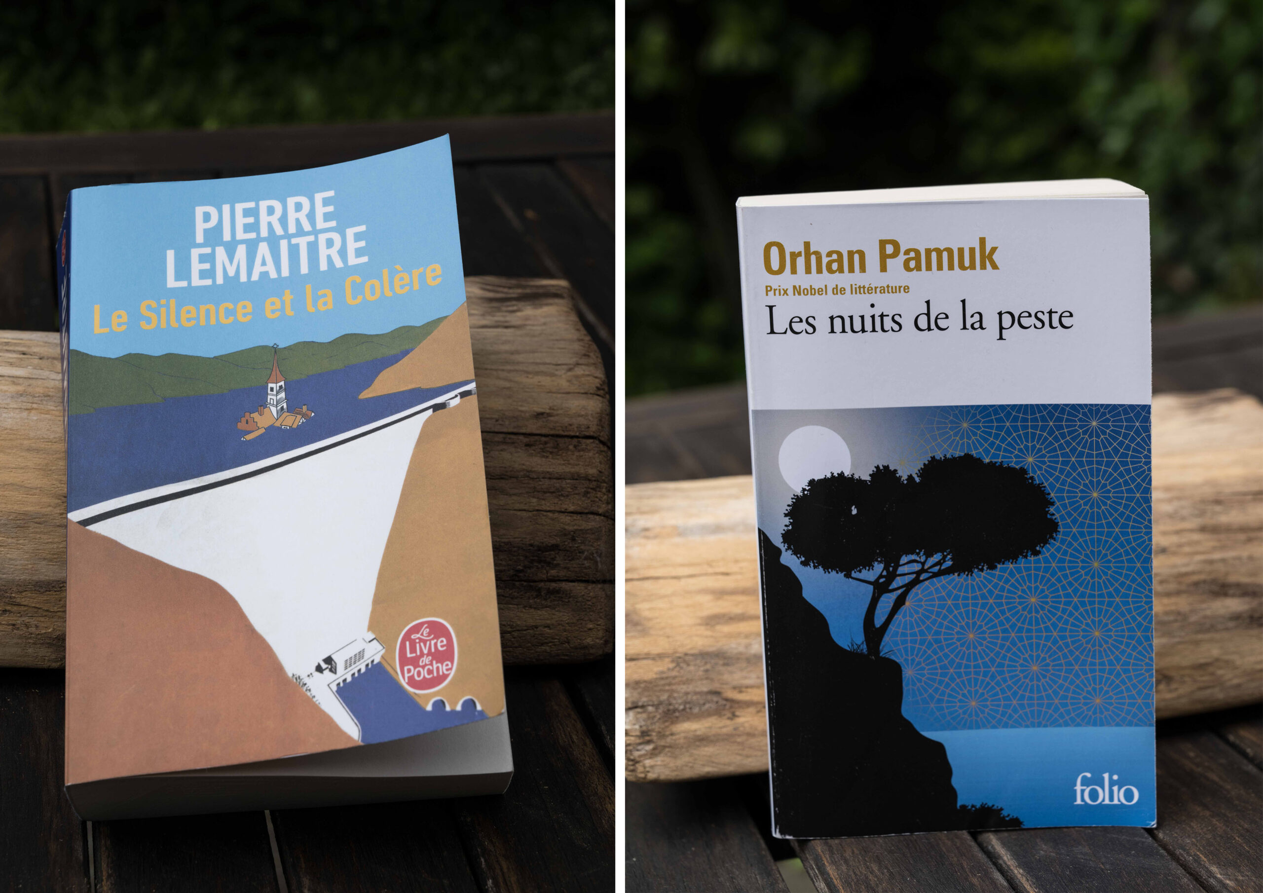Lire la suite à propos de l’article Du nouveau dans la Bibliothèque